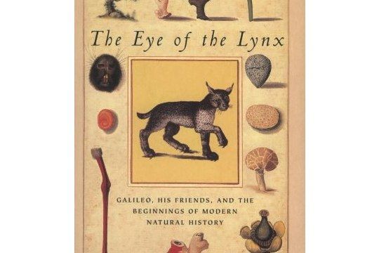 The Eye of the Lynx The Eye of the Lynx
