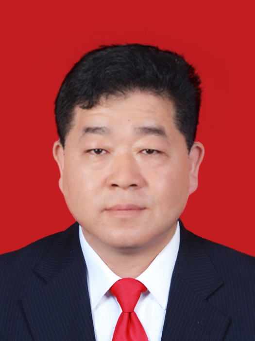 馬偉傑(鄭州市新鄭市依法治市辦副主任) 馬偉傑(鄭州市新鄭市依法治市辦副主任)