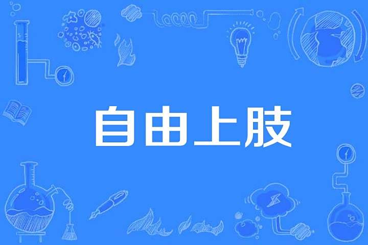 自由上肢 自由上肢
