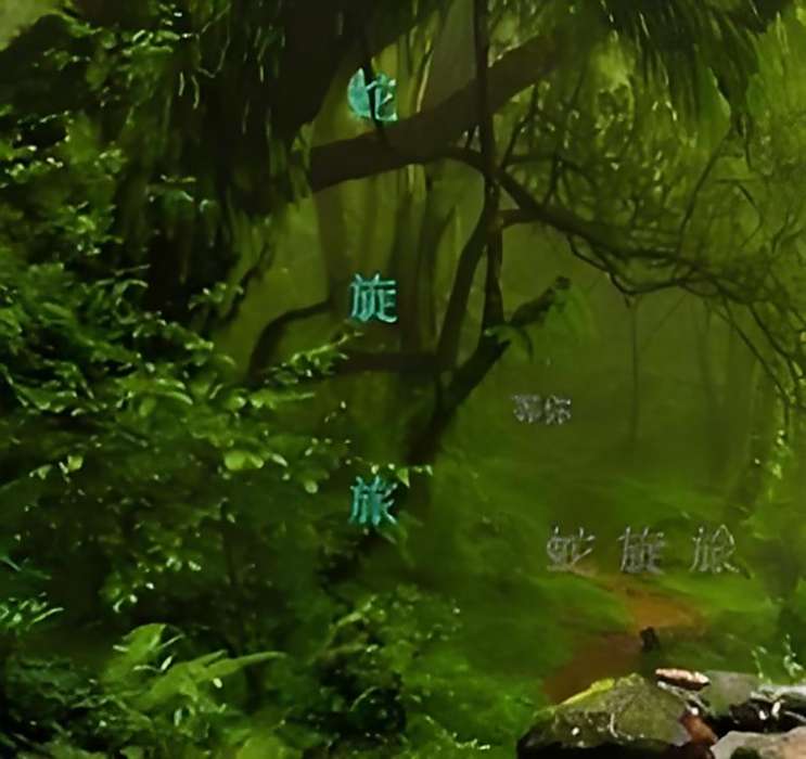 蛇旋旅 蛇旋旅