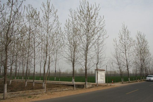 毛墩遺址 毛墩遺址