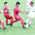 2010年亞洲殘疾人運動會七人制足球比賽