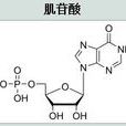 肌苷酸
