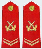 武警三級士官肩章(2007—2009)