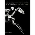 Evolution in Action Evolution in Action