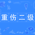 重傷二級 重傷二級