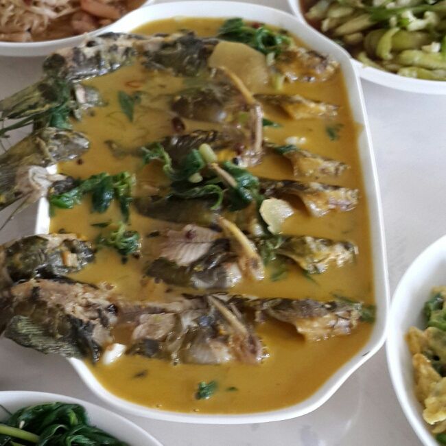 昂剌魚 昂剌魚