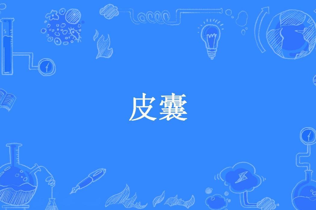 皮囊(千絮所著小說) 皮囊(千絮所著小說)