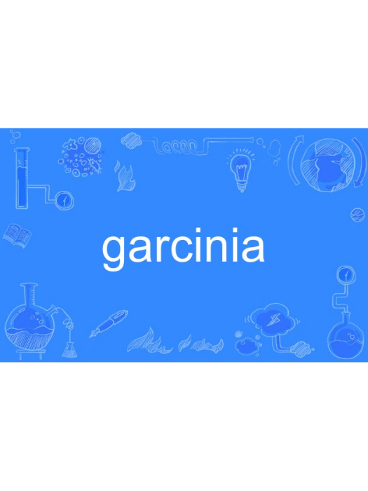garcinia garcinia