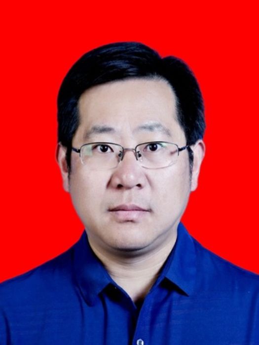 孟振(陝西省鹹陽市長武縣昭仁街道辦事處黨工委副書記、主任)