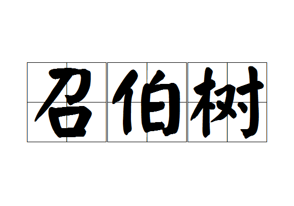 召伯樹 召伯樹