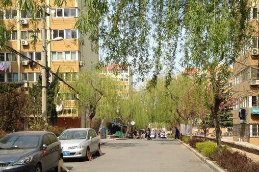 七六新村(洛陽路交安陽路的住宅小區)