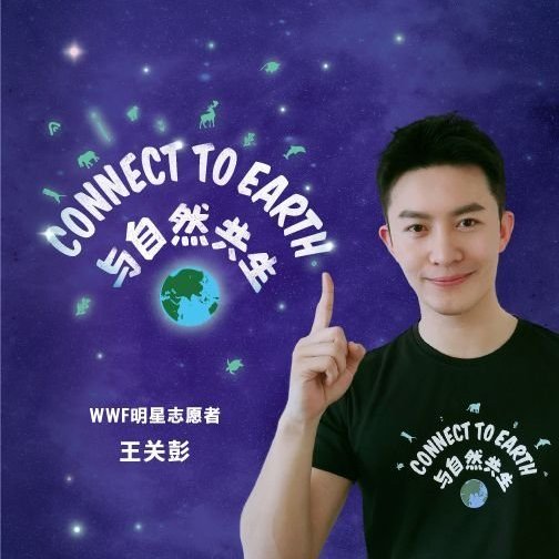 王關彭