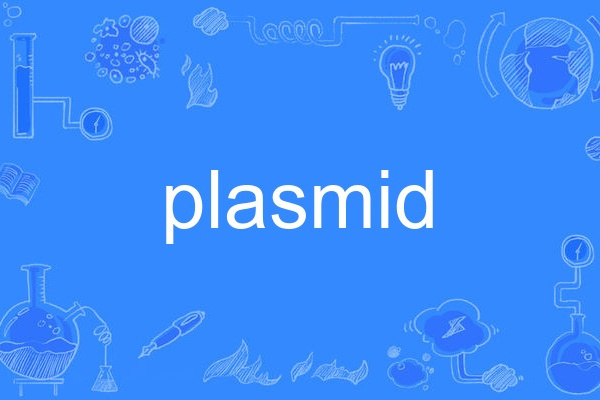 plasmid plasmid