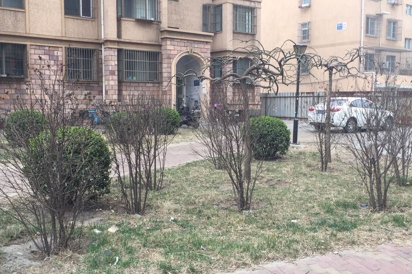 鴻福嘉苑(唐山市海港開發區樓盤) 鴻福嘉苑(唐山市海港開發區樓盤)