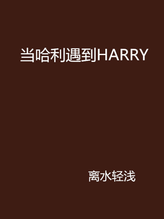 當哈利遇到HARRY 當哈利遇到HARRY