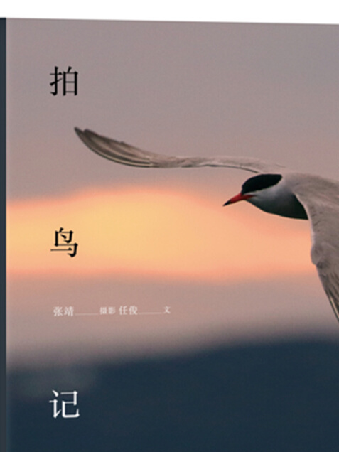 拍鳥記 拍鳥記