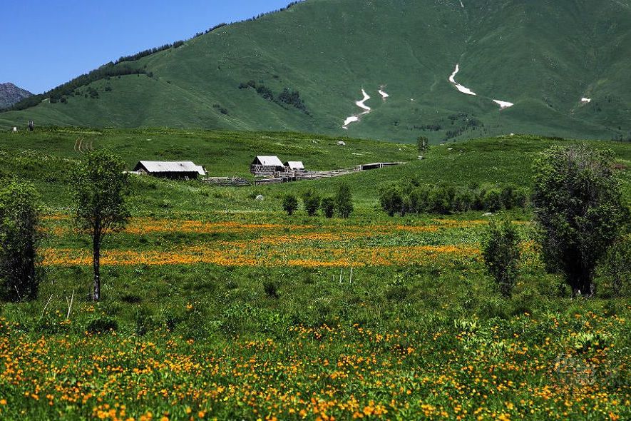 禾大村 禾大村
