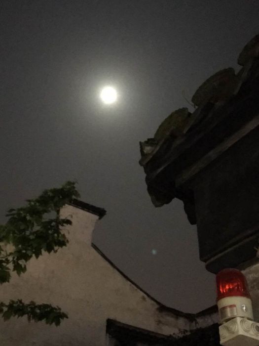 月亮很傻 月亮很傻