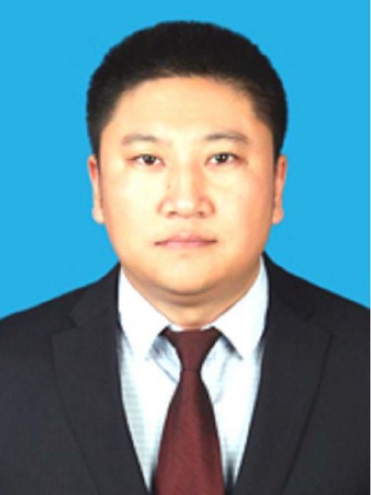 王帥(黑龍江省綏化市安達市委副書記、市長) 王帥(黑龍江省綏化市安達市委副書記、市長)