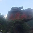 大覺山(江西資溪大覺山)