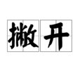 撇開 撇開
