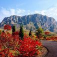 雞鳴山(河北省張家口市山峰) 雞鳴山(河北省張家口市山峰)
