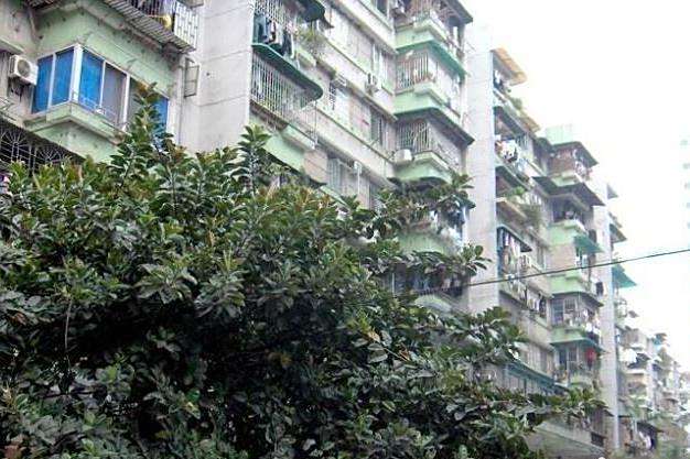 明月二路 明月二路