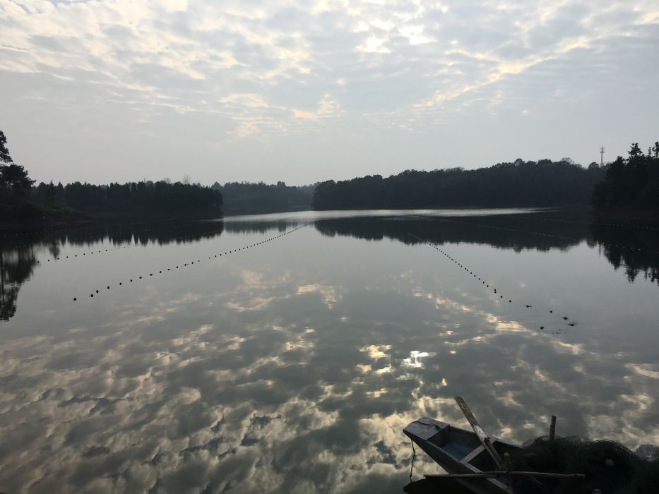 天娥湖 天娥湖