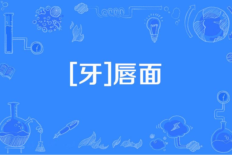 [牙]唇面