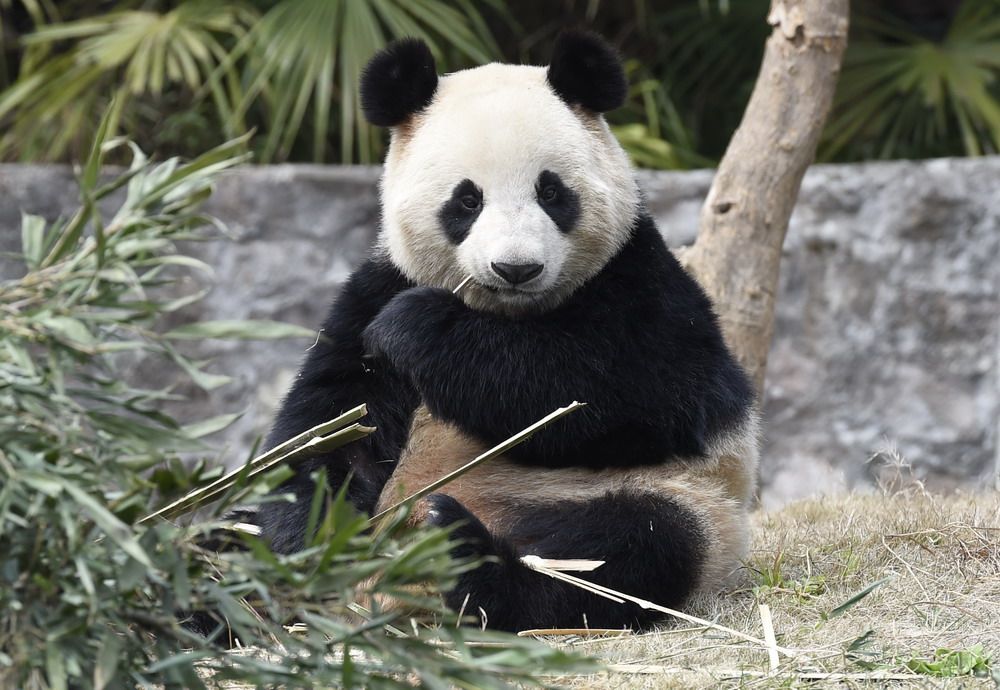 生物保育 生物保育