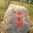 曇華林(景點)