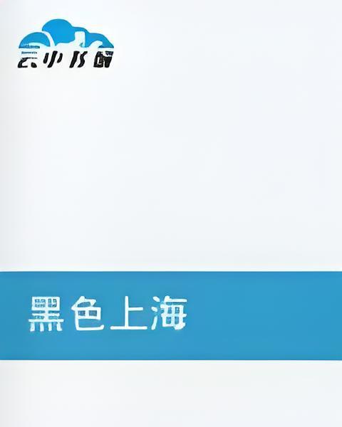 黑色上海 黑色上海
