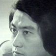 劉陸華 劉陸華