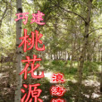 巧建桃花源 巧建桃花源