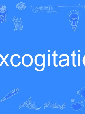 excogitation excogitation