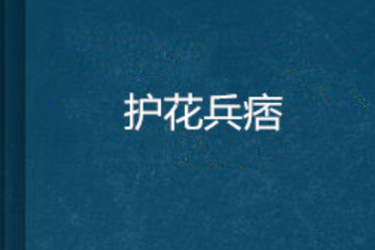 護花兵痞(深夜的魚創作小說) 護花兵痞(深夜的魚創作小說)
