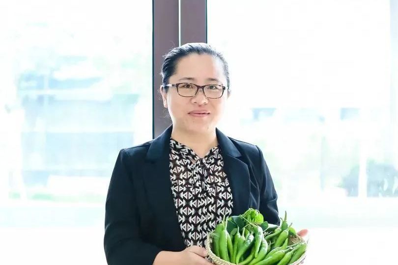 江偉琴 江偉琴