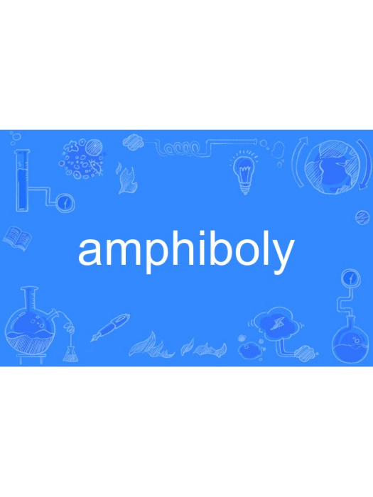 amphiboly amphiboly
