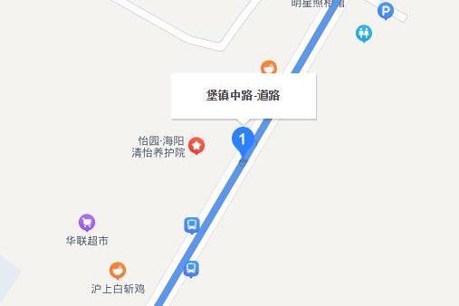 堡鎮中路 堡鎮中路