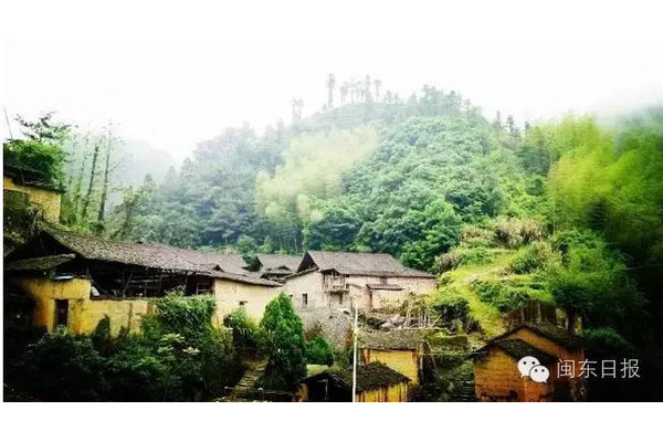 龍井坑村 龍井坑村