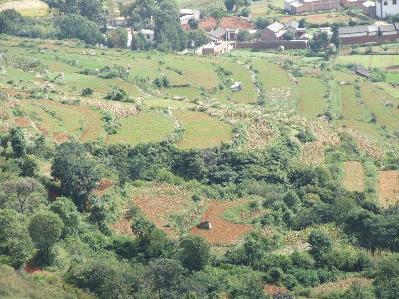 漏邑村 漏邑村