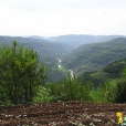大人山(歐嶺) 大人山(歐嶺)