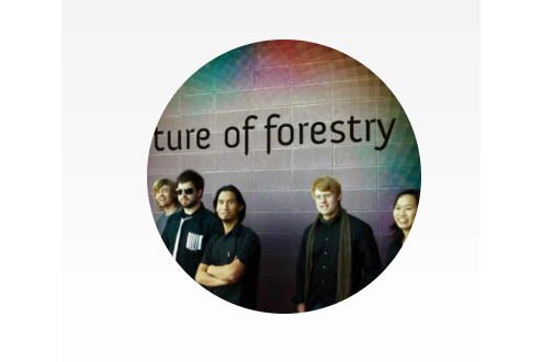Future Of Forestry Future Of Forestry