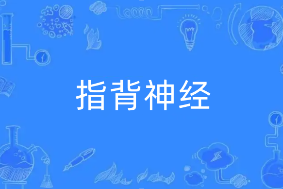 指背神經 指背神經