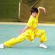 規定拳 規定拳
