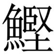 鰹 鰹
