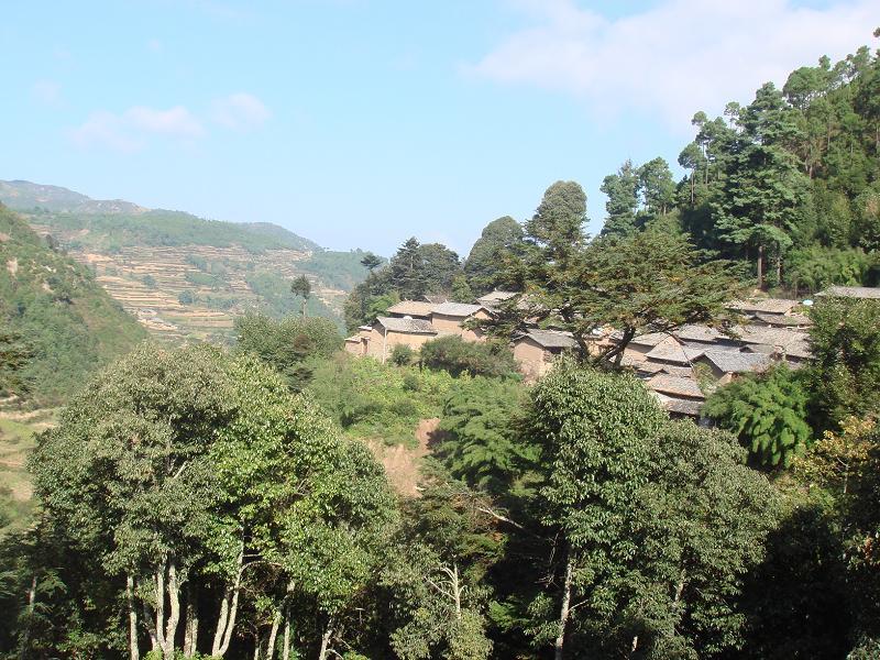石多廠村 石多廠村