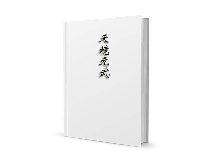 天境元武 天境元武