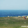 竹嶼島 竹嶼島